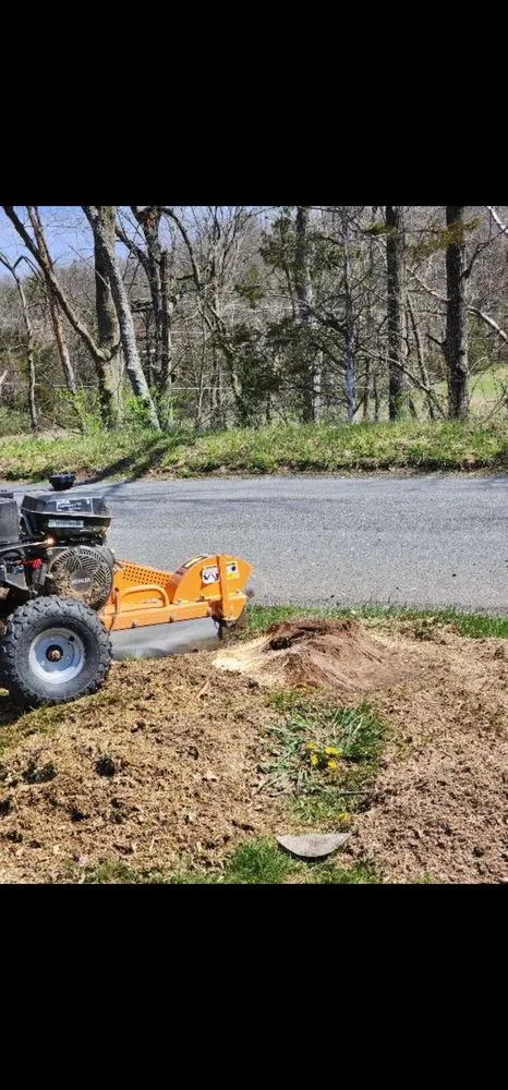 Custom landscape design in Mathias, WV by Tusings Tree And Landscaping Service