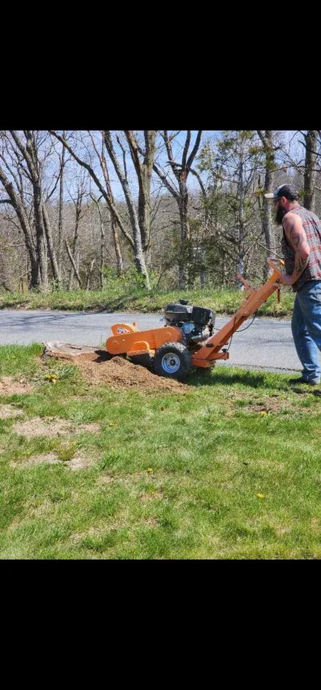 Trusted landscape installation experts serving Mathias, WV - Tusings Tree And Landscaping Service