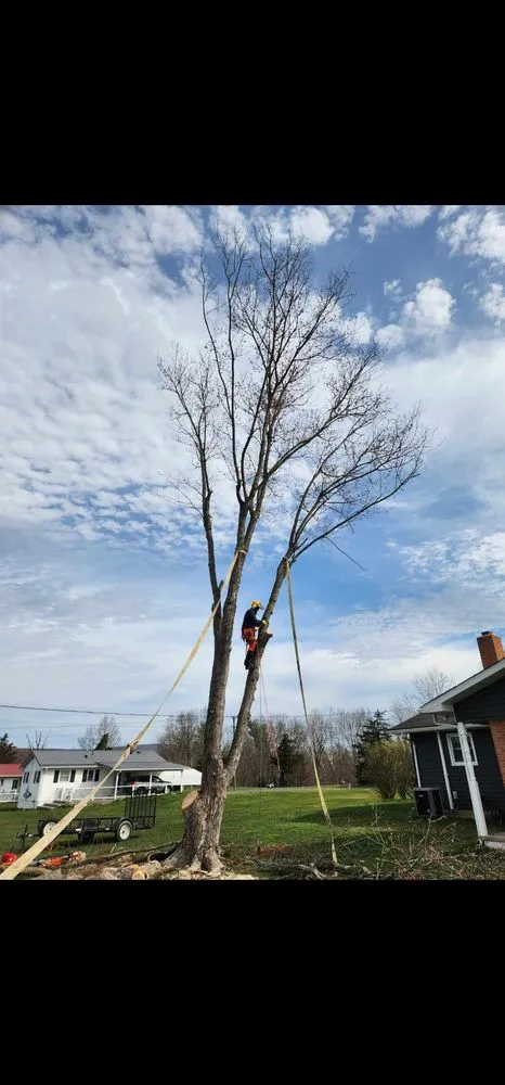 Professional outdoor landscaping in Mathias, WV by Tusings Tree And Landscaping Service