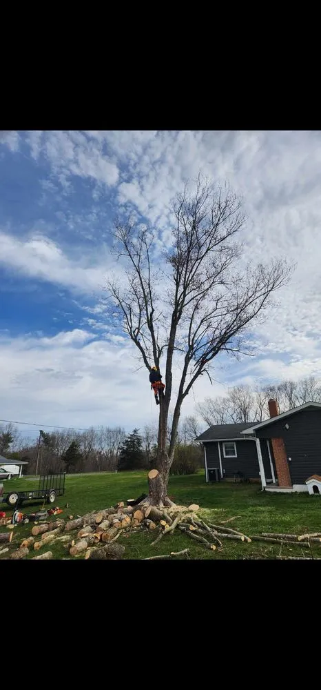 Expert garden landscaping for year-round maintenance across Mathias, WV - Tusings Tree And Landscaping Service