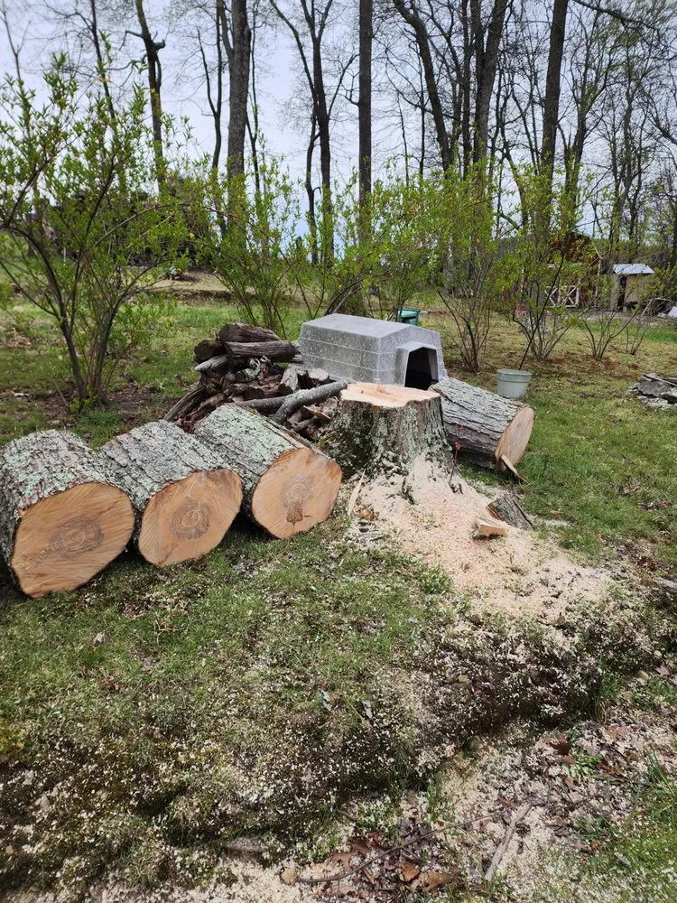Custom outdoor landscaping experts serving Mathias, WV - Tusings Tree And Landscaping Service