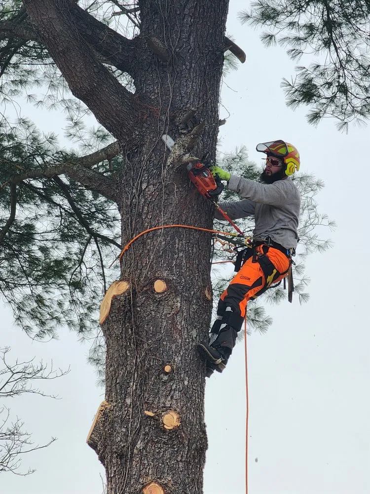 Custom garden landscaping experts serving Mathias, WV - Tusings Tree And Landscaping Service