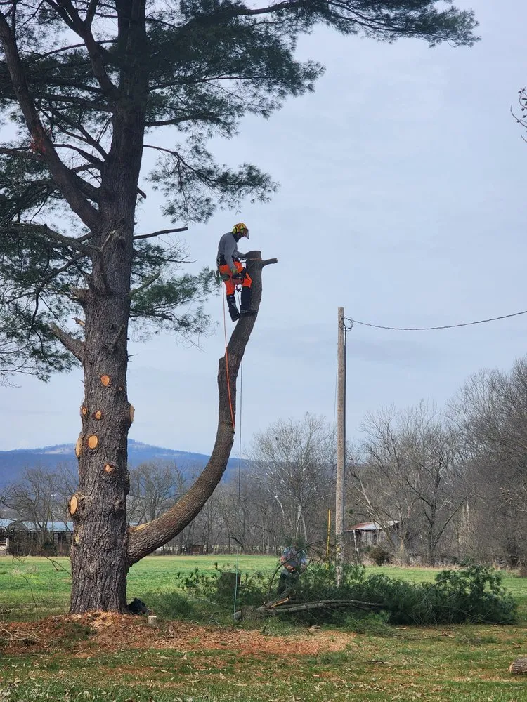 Professional lawn care service in Mathias, WV by Tusings Tree And Landscaping Service