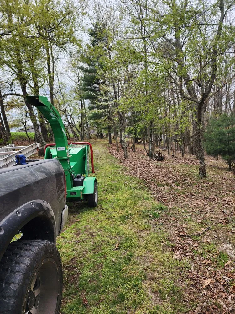 Trusted yard cleanup service for residential properties in Mathias, WV by Tusings Tree And Landscaping Service