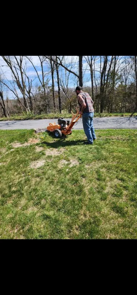 Expert yard cleanup service with custom design across Mathias, WV - Tusings Tree And Landscaping Service
