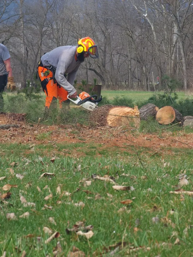 Top-rated lawn mowing service with custom design across Mathias, WV - Tusings Tree And Landscaping Service