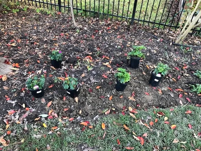 Trusted lawn mowing service for beautiful yards in Prince Frederick, MD by Tuskegee Landscaping