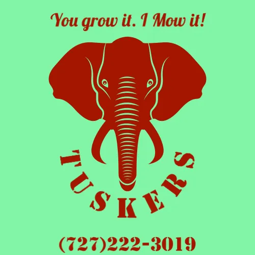 Expert lawn mowing service in Largo, FL by Tuskers