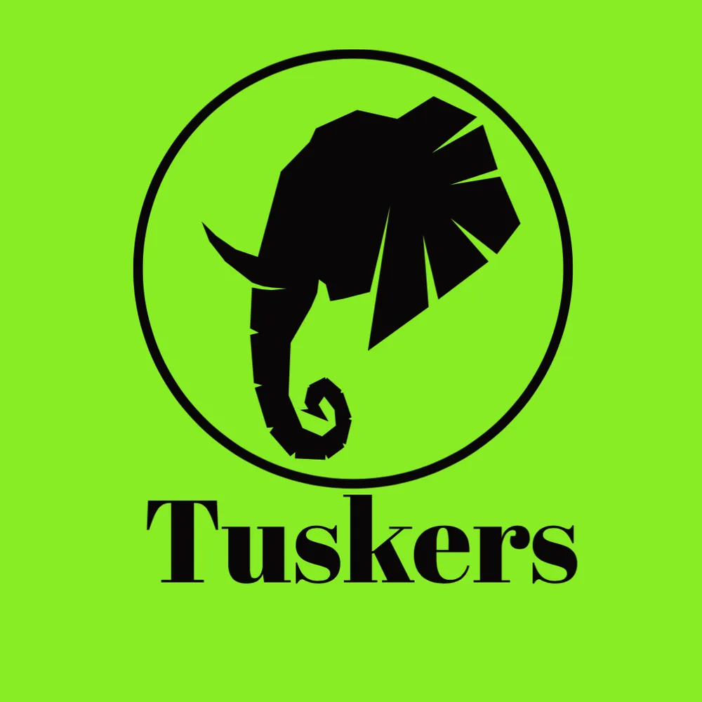 Affordable yard cleanup service for residential properties across Largo, FL - Tuskers