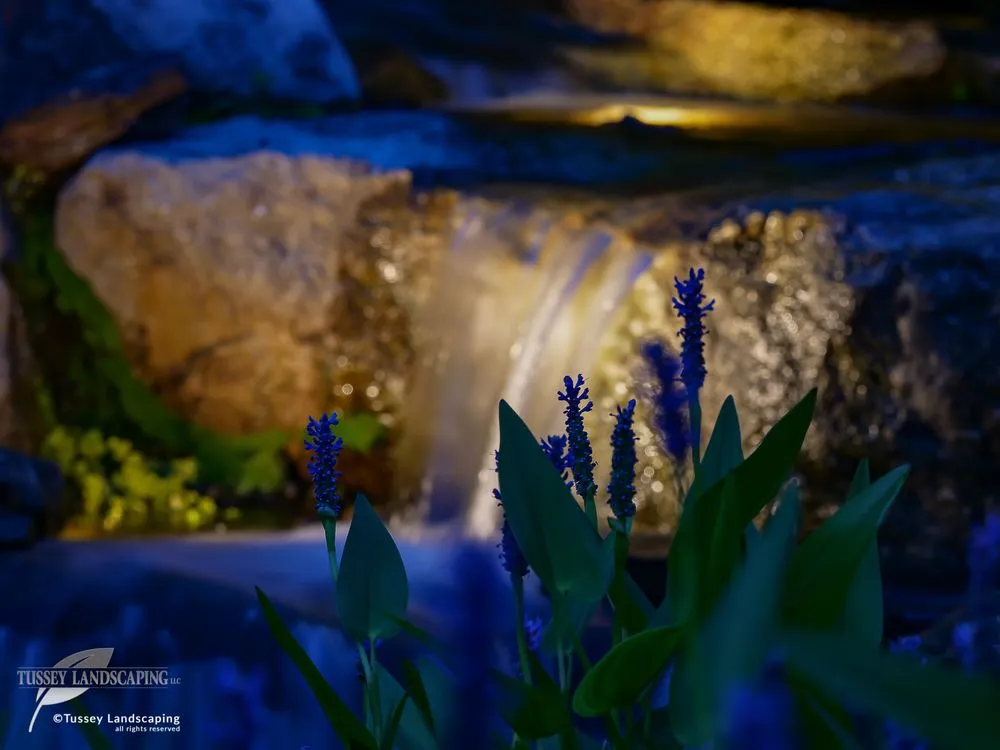 Trusted landscape installation with custom design across Hollidaysburg, PA - Tussey Landscaping