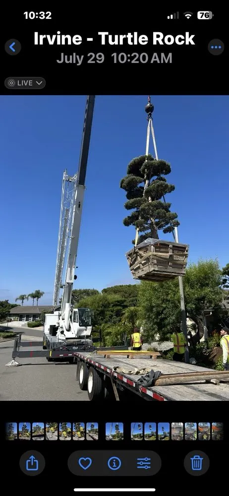 Affordable outdoor landscaping for homes in Tustin, CA by Tustin Landscaping