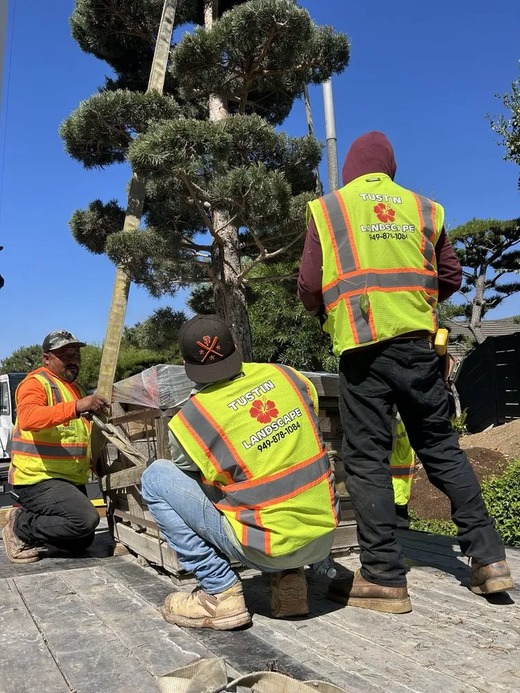 Professional landscaping services in Tustin, CA - Tustin Landscaping