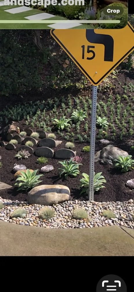 Top-rated garden landscaping in Tustin, CA - Tustin Landscaping