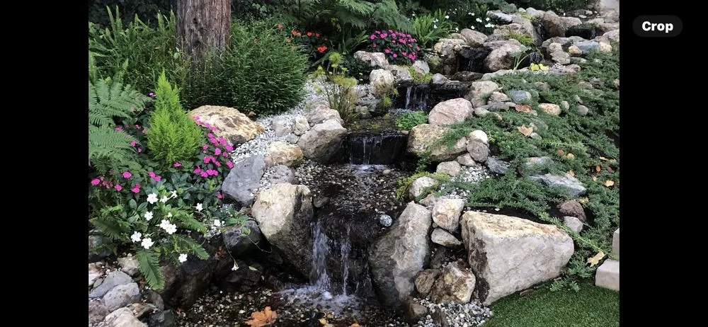 Local yard maintenance in Tustin, CA by Tustin Landscaping