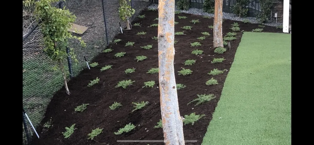 Professional landscaping services in Tustin, CA - Tustin Landscaping