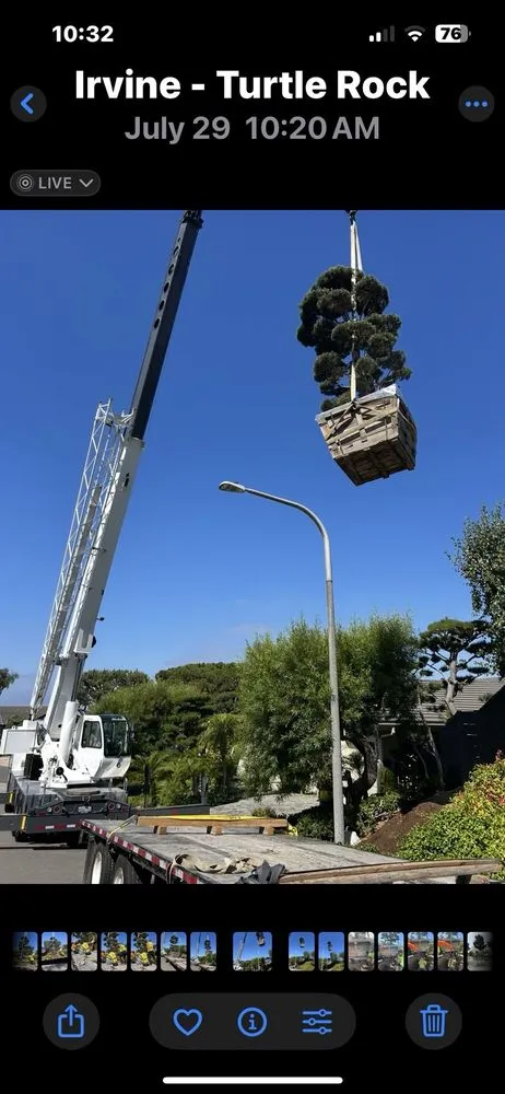 Affordable lawn care service experts serving Tustin, CA - Tustin Landscaping