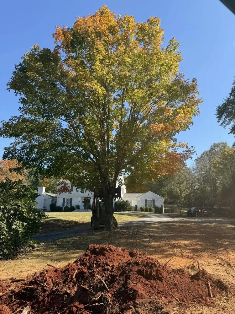 Trusted yard maintenance for homes across Pelion, SC - Tuten Land Clearing