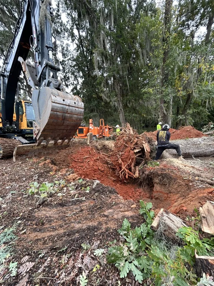 Trusted lawn mowing service in Pelion, SC - Tuten Land Clearing