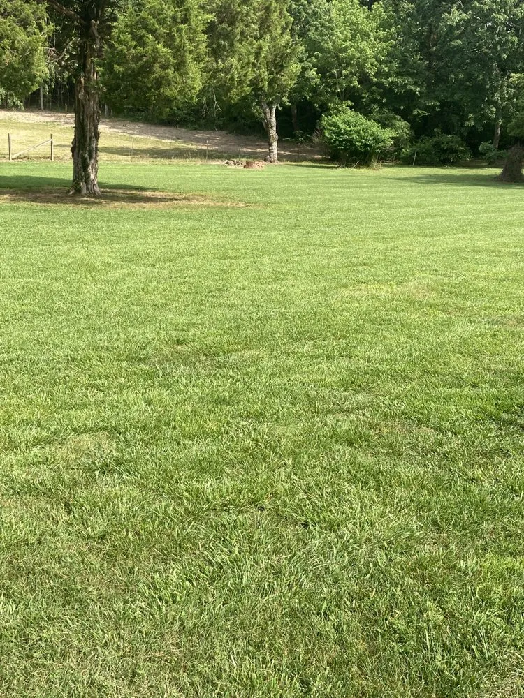 Reliable yard cleanup service in Tullahoma, TN by Tuttles Lawn Care