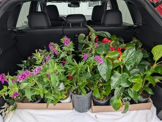 Tuttle's Nursery & Landscape