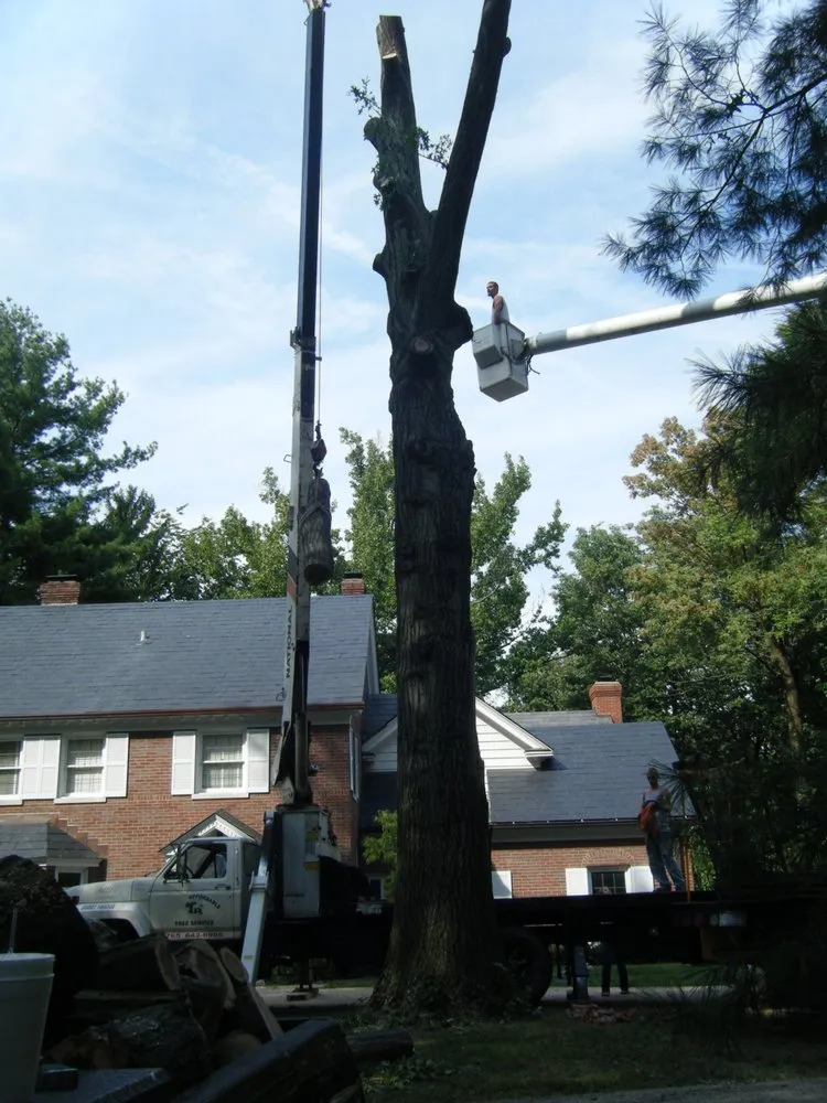 Local yard maintenance in Anderson, IN - Tuttle's Tree Services