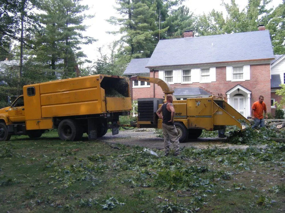 Local yard cleanup service experts serving Anderson, IN - Tuttle's Tree Services