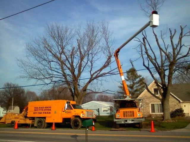 Affordable residential landscaping experts serving Anderson, IN - Tuttle's Tree Services