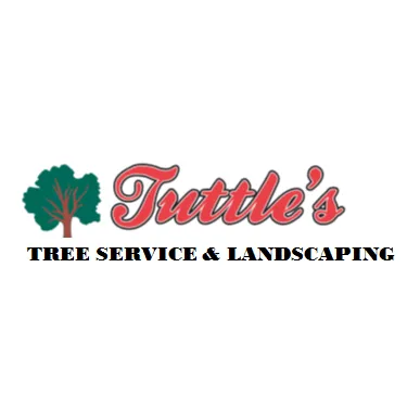 Expert yard cleanup service near you in Anderson, IN by Tuttle's Tree Services