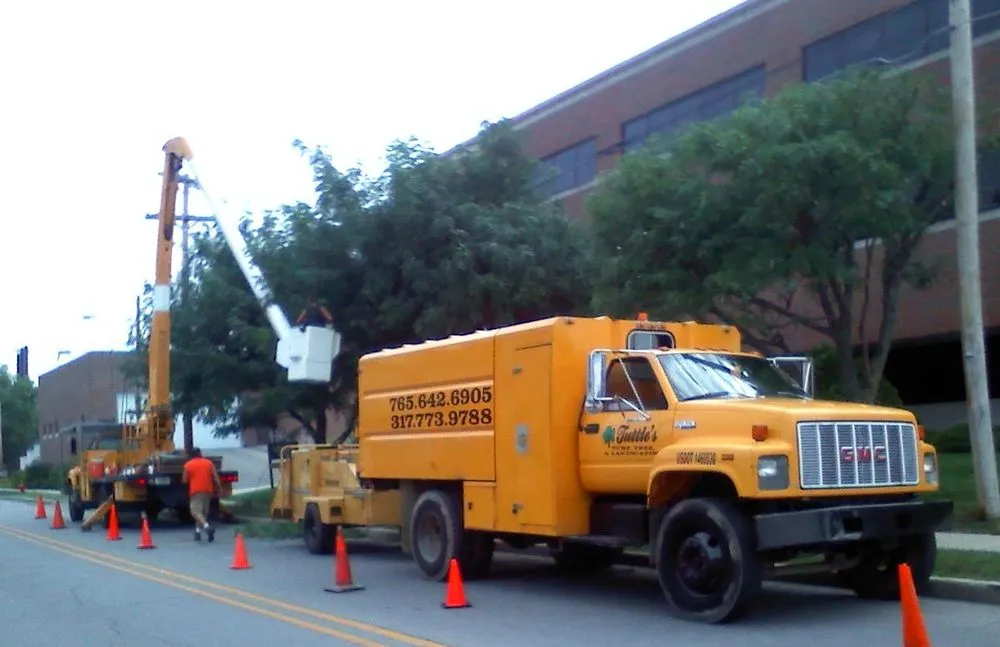 Affordable yard maintenance in Anderson, IN by Tuttle's Tree Services