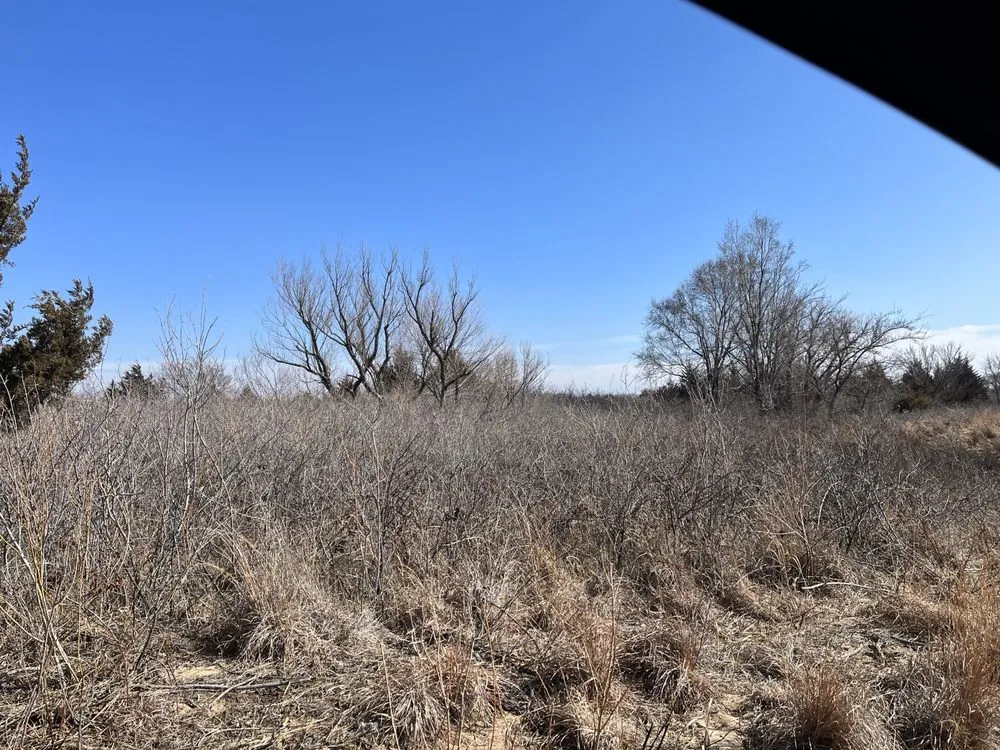 Affordable landscape design for year-round maintenance in Hutchinson, KS by Tuxedo Ranch C3