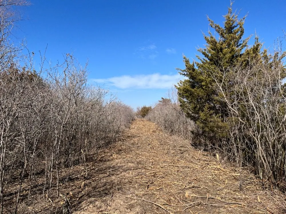 Trusted landscape design in Hutchinson, KS - Tuxedo Ranch C3