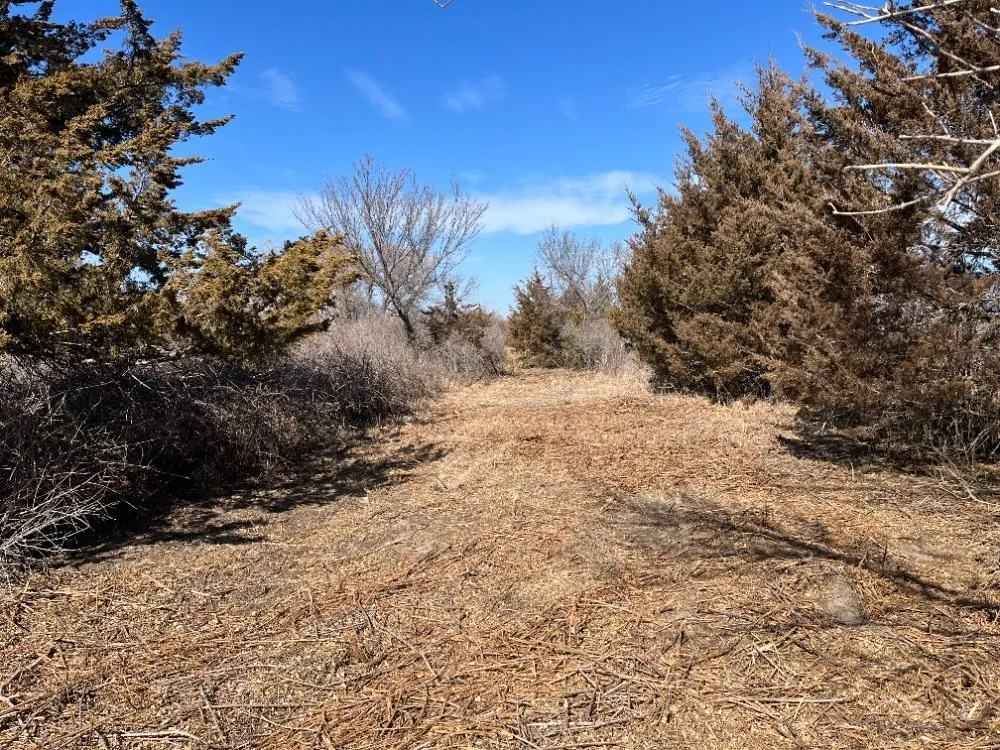 Local landscaping services near you in Hutchinson, KS by Tuxedo Ranch C3