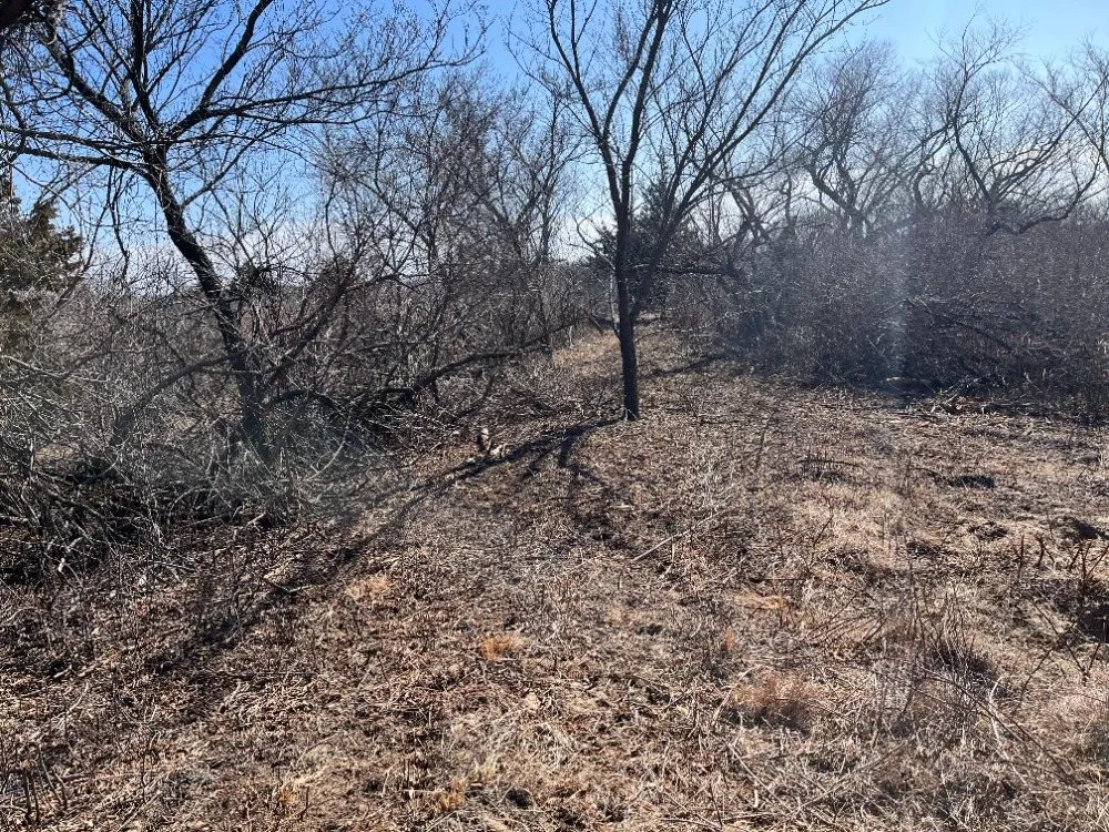 Reliable landscape design in Hutchinson, KS by Tuxedo Ranch C3