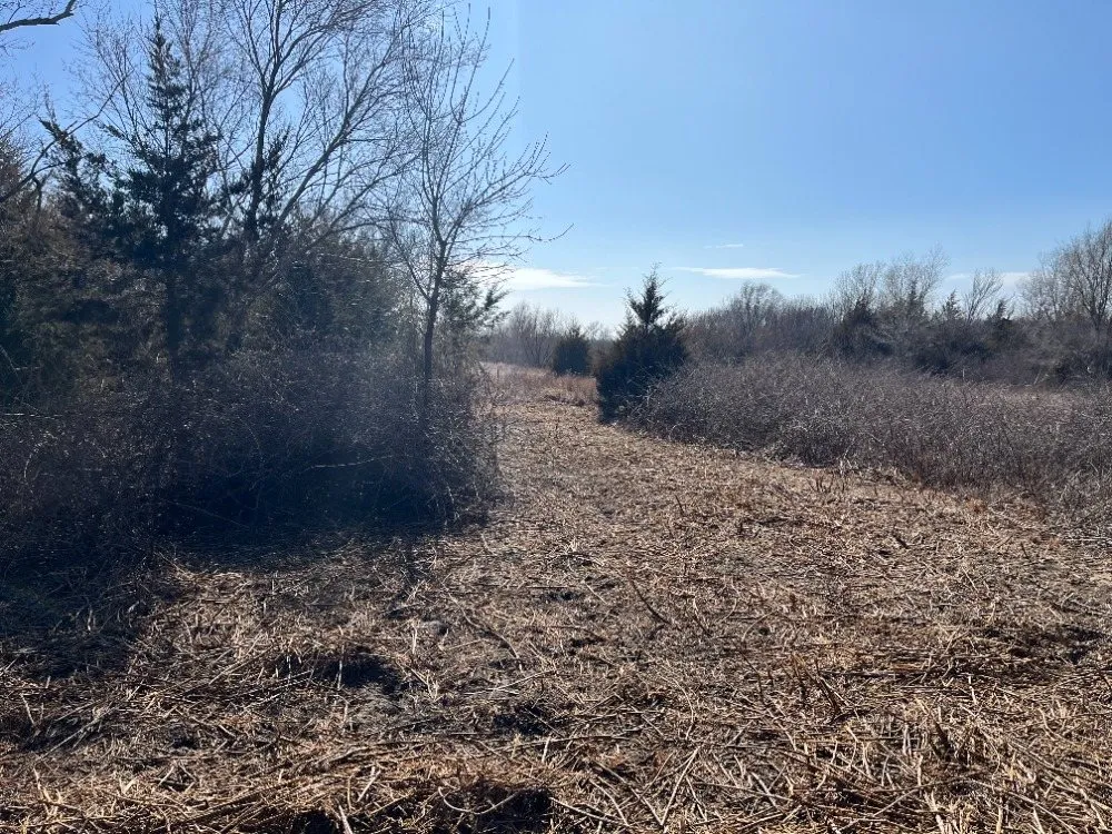 Affordable yard maintenance for year-round maintenance across Hutchinson, KS - Tuxedo Ranch C3