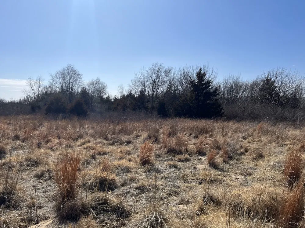 Reliable landscape installation for residential properties across Hutchinson, KS - Tuxedo Ranch C3