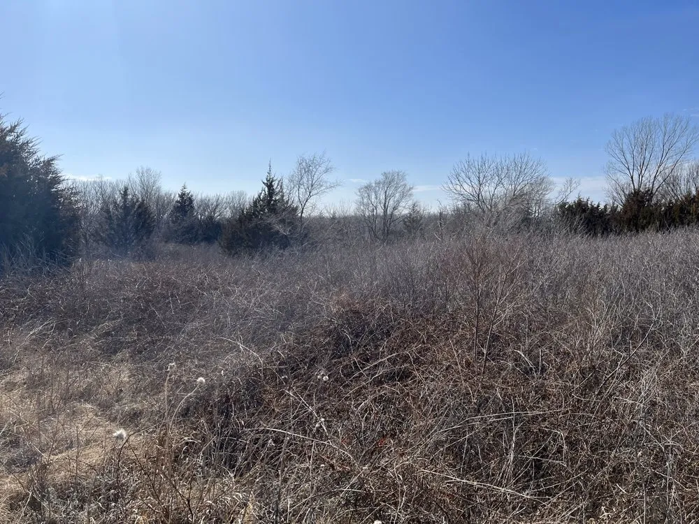 Top-rated landscape design in Hutchinson, KS by Tuxedo Ranch C3