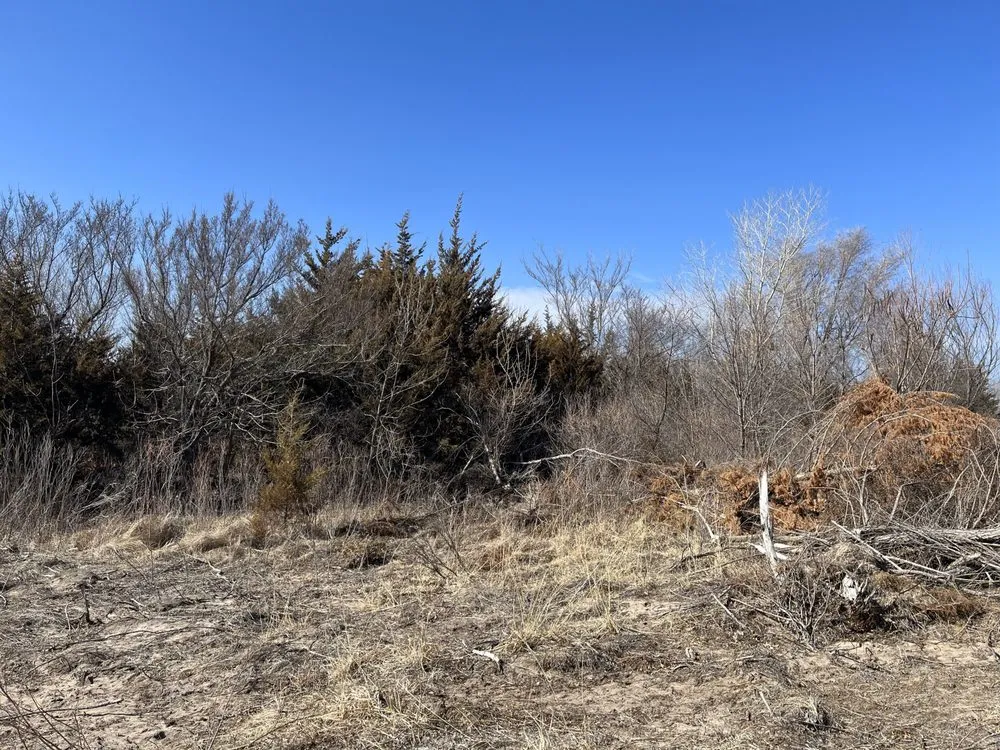 Trusted lawn care service for outdoor upgrades across Hutchinson, KS - Tuxedo Ranch C3