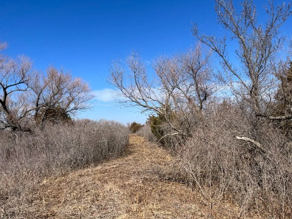 Affordable lawn care service in Hutchinson, KS - Tuxedo Ranch C3