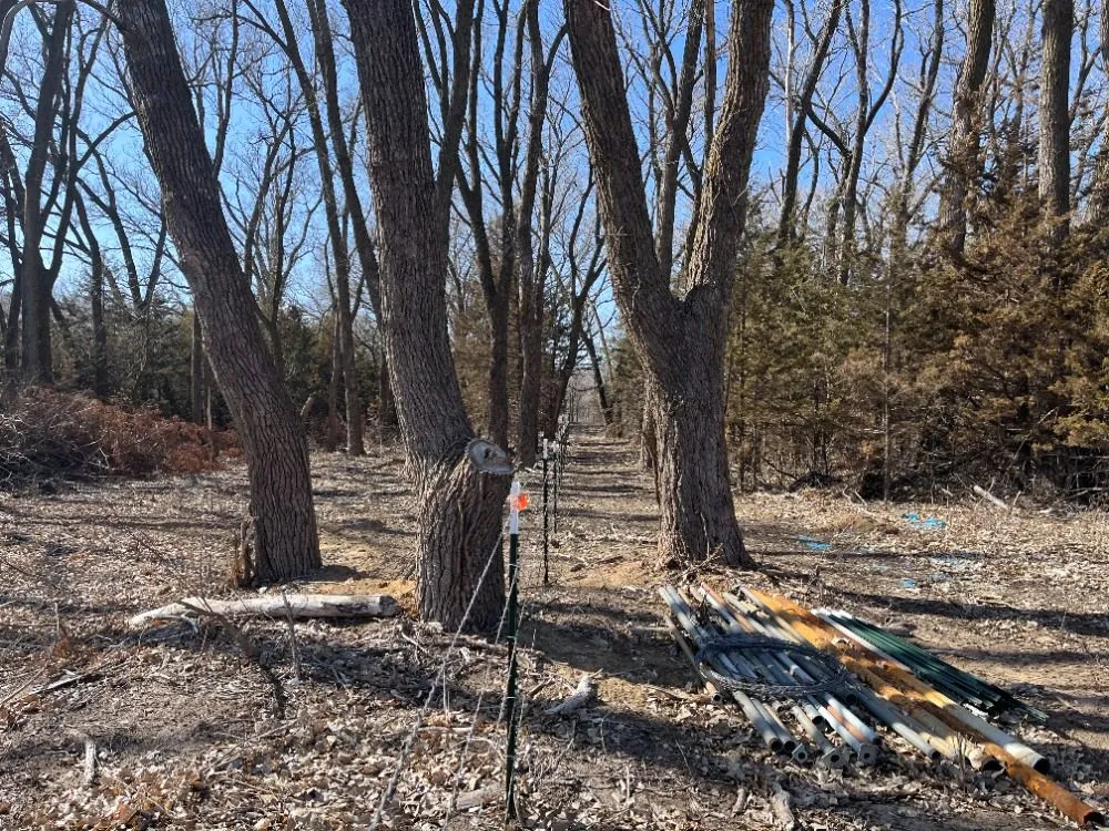 Reliable lawn mowing service for beautiful yards in Hutchinson, KS by Tuxedo Ranch C3