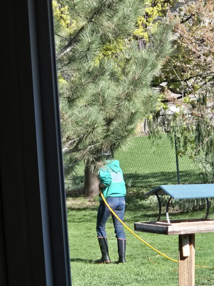 Affordable yard cleanup service for outdoor upgrades across South Ogden, UT - Tuxedo Yard Care