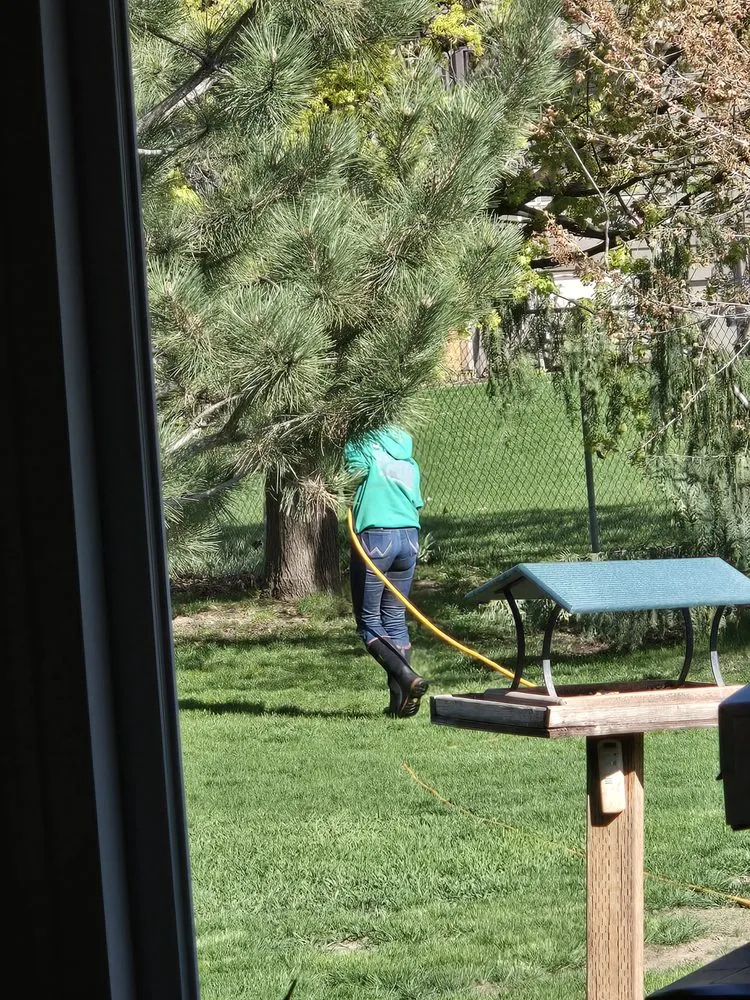 Custom garden landscaping experts serving South Ogden, UT - Tuxedo Yard Care