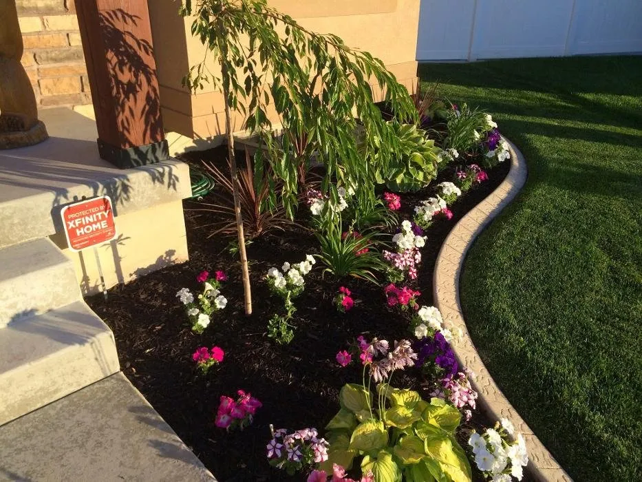 Reliable landscape installation experts serving South Ogden, UT - Tuxedo Yard Care