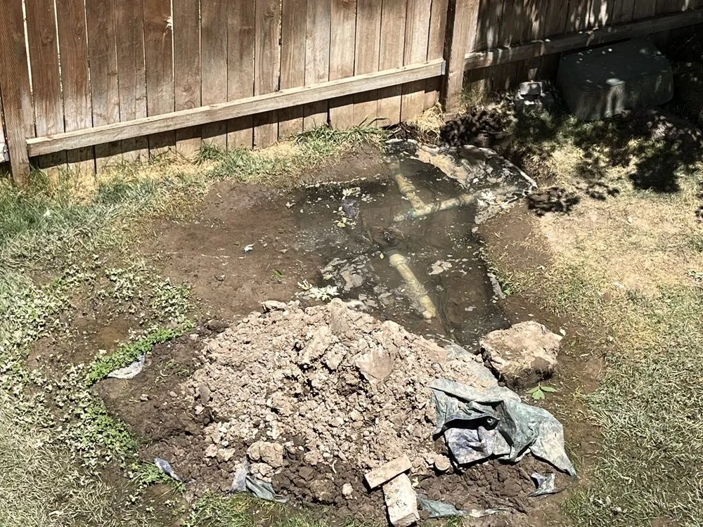 Affordable lawn mowing service experts serving South Ogden, UT - Tuxedo Yard Care