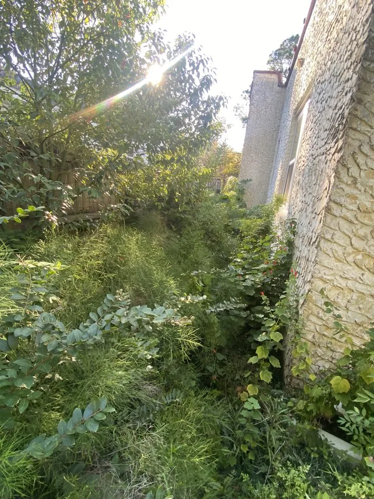 Custom lawn care service for beautiful yards in Mobile, AL by TV Dumpster/Debris Removal