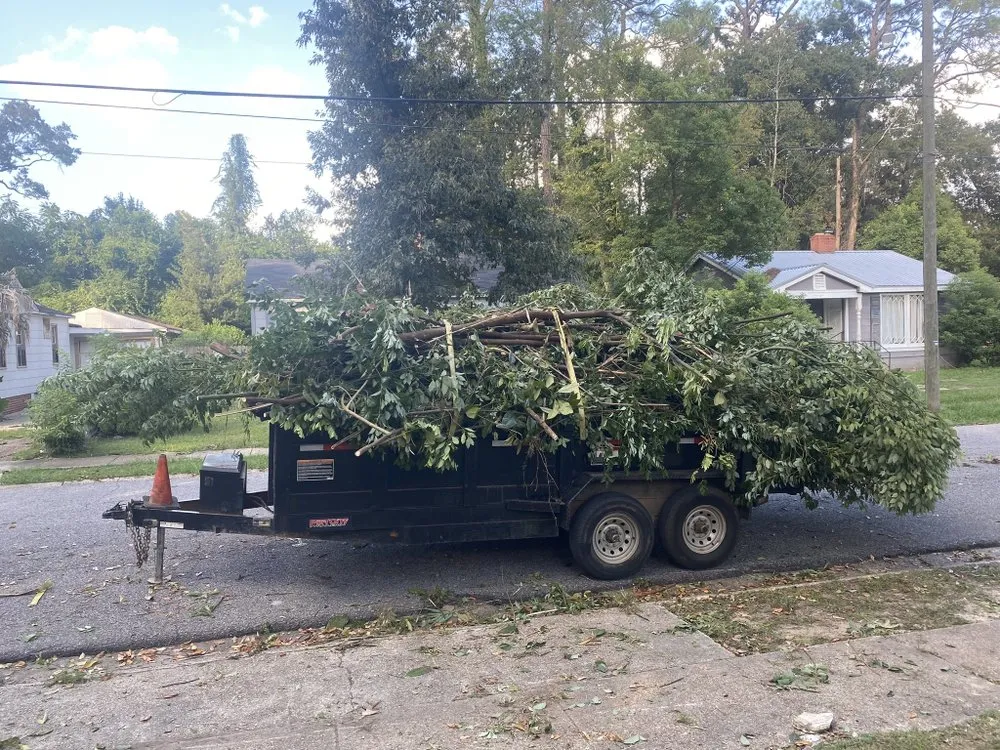 Affordable landscape design experts serving Mobile, AL - TV Dumpster/Debris Removal