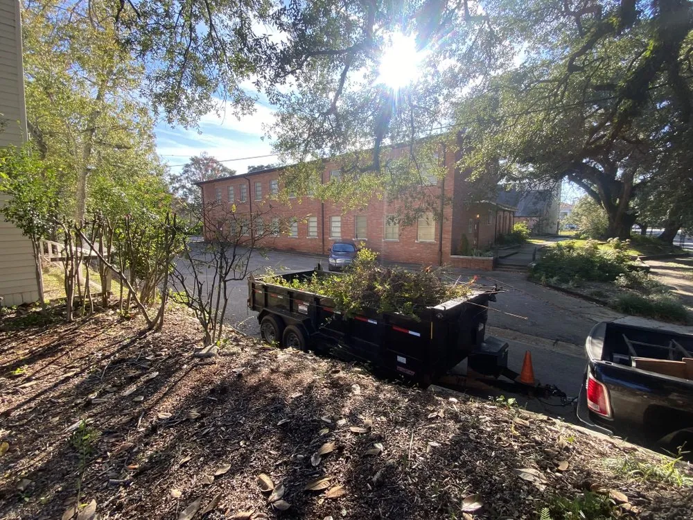 Local yard cleanup service experts serving Mobile, AL - TV Dumpster/Debris Removal