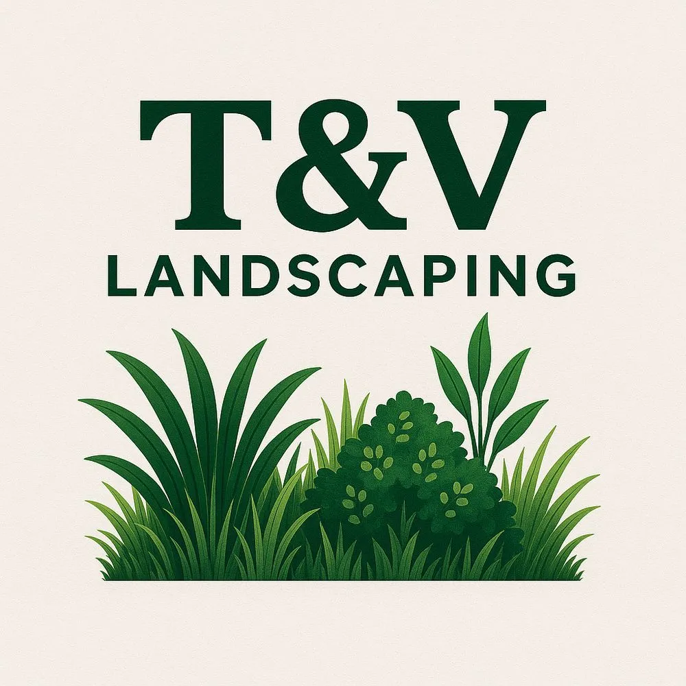 Expert lawn care service for homes across Mountain View, AR - T&V Landscaping