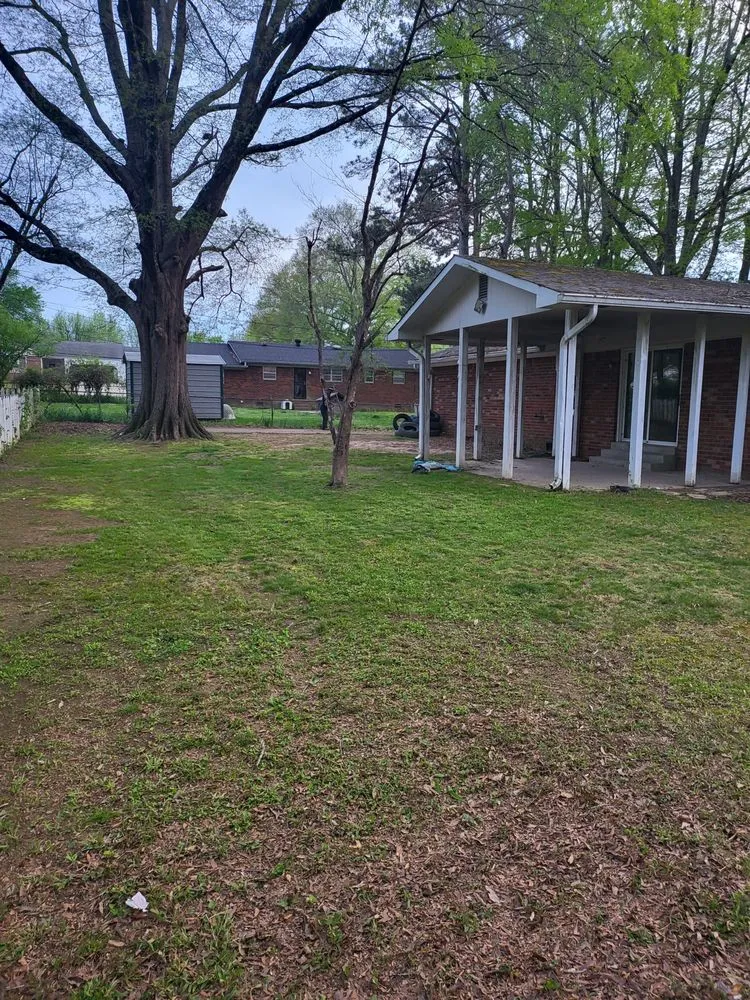 Professional landscaping services in Jackson, TN - Tv Lawn Care And More