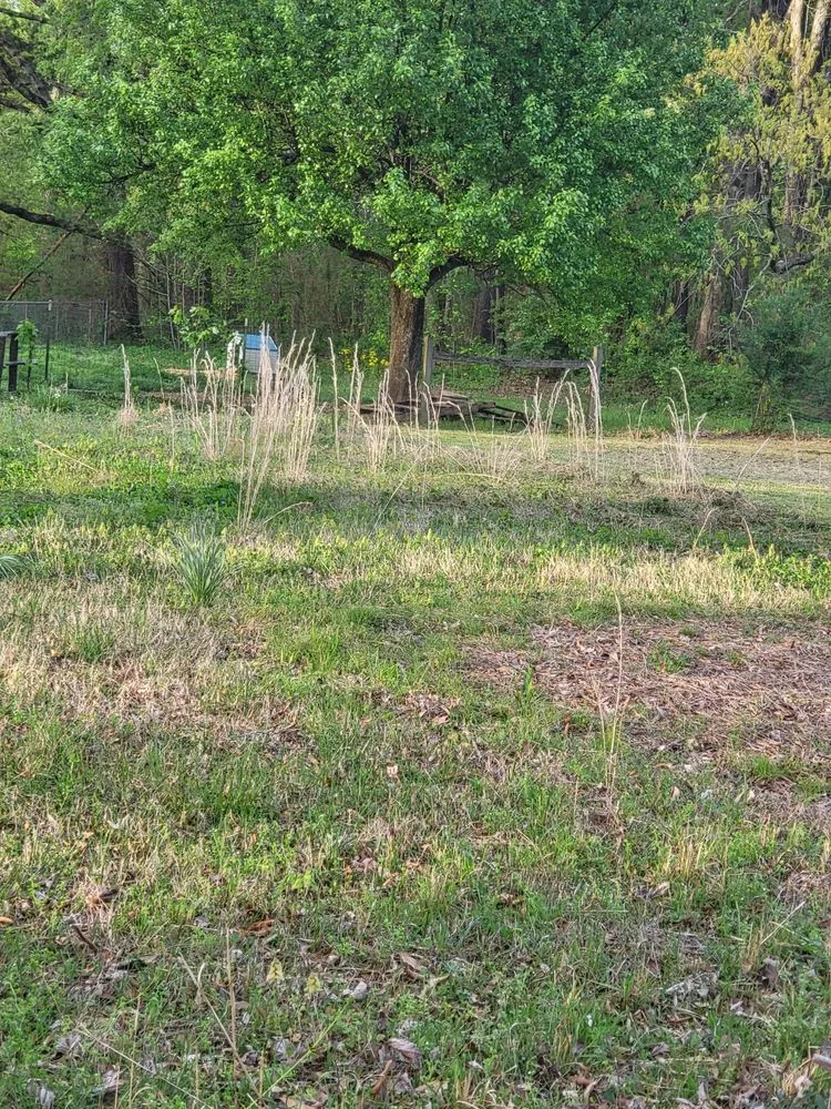 Custom garden landscaping experts serving Jackson, TN - Tv Lawn Care And More