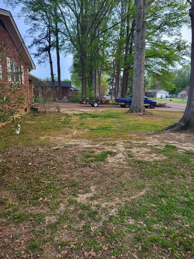Custom yard cleanup service for homes in Jackson, TN by Tv Lawn Care And More